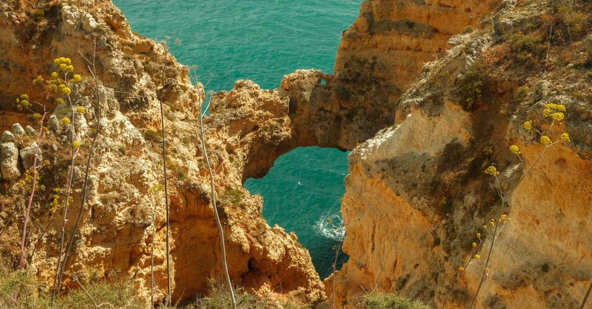 View from above through a rock arch at Ponta da Piedade onto turquoise sea, yellow wildflowers blooming at the cliff edge
